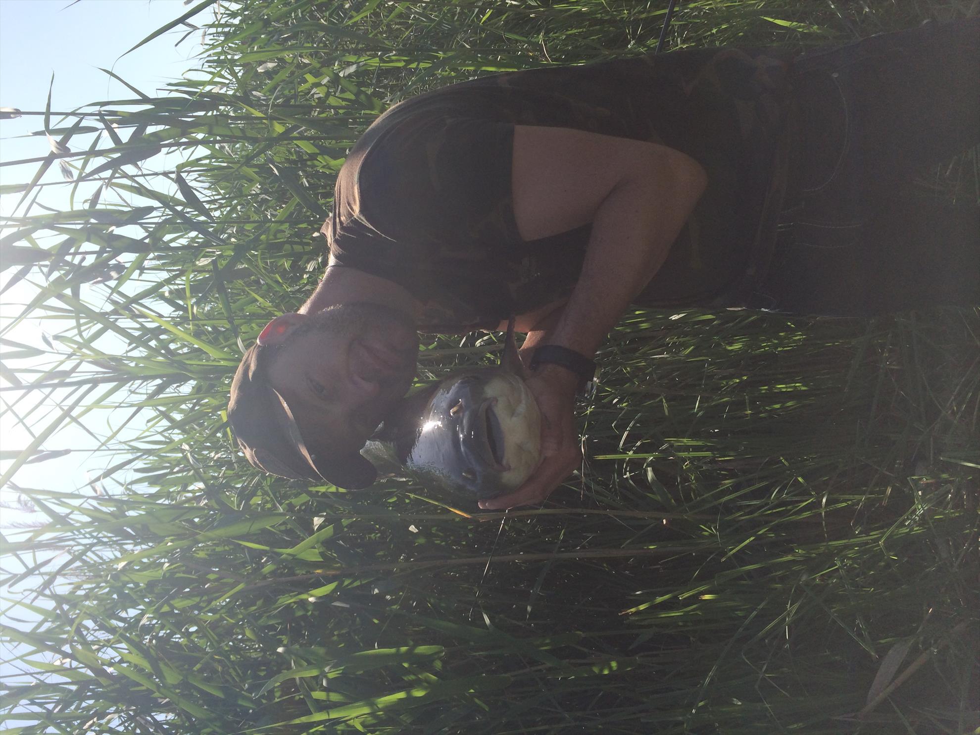 Pescuit Balta Lazar 6-8 iunie 2014 - img0671.JPG